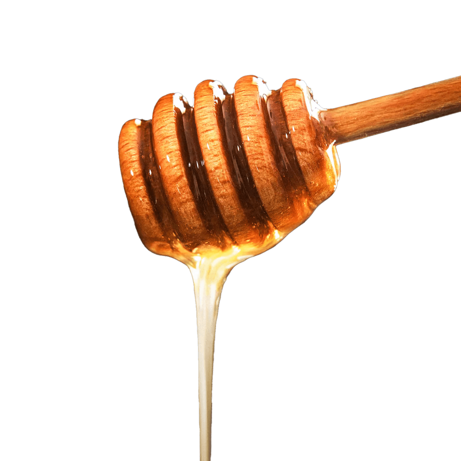 Honey Dipper - Image 1